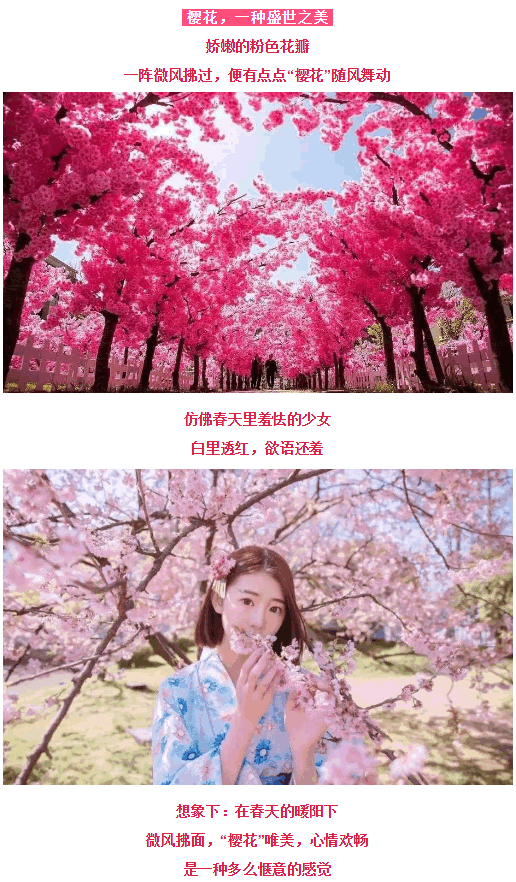 鿴ͼ